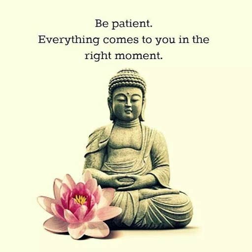 buddha images hd with quotes