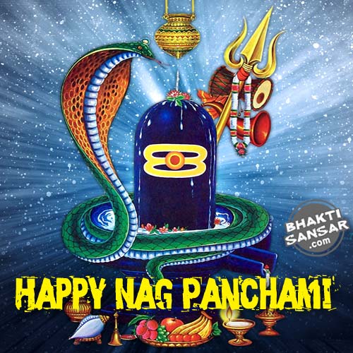 nag-panchami-photos