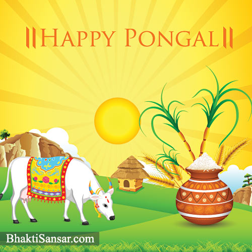 pongal-pictures